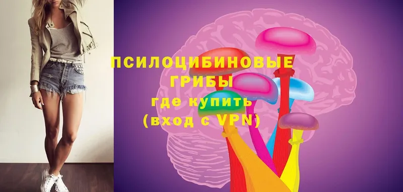 Псилоцибиновые грибы Magic Shrooms  omg сайт  Кимры 